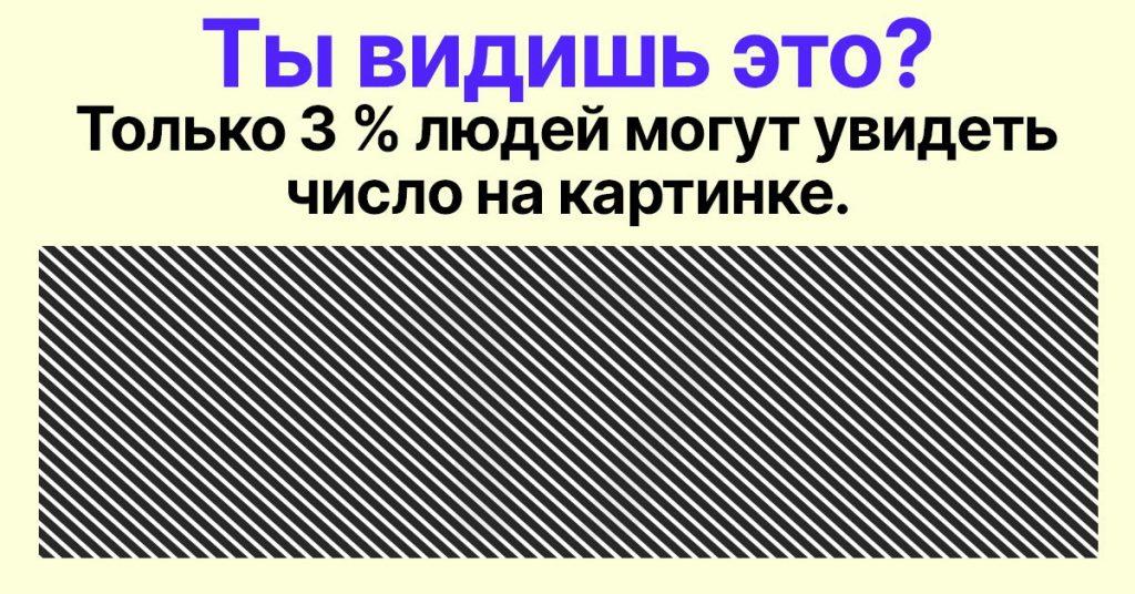 Уже сорок тоже не равнодушна к файлу который видит в ней лишь помощника во