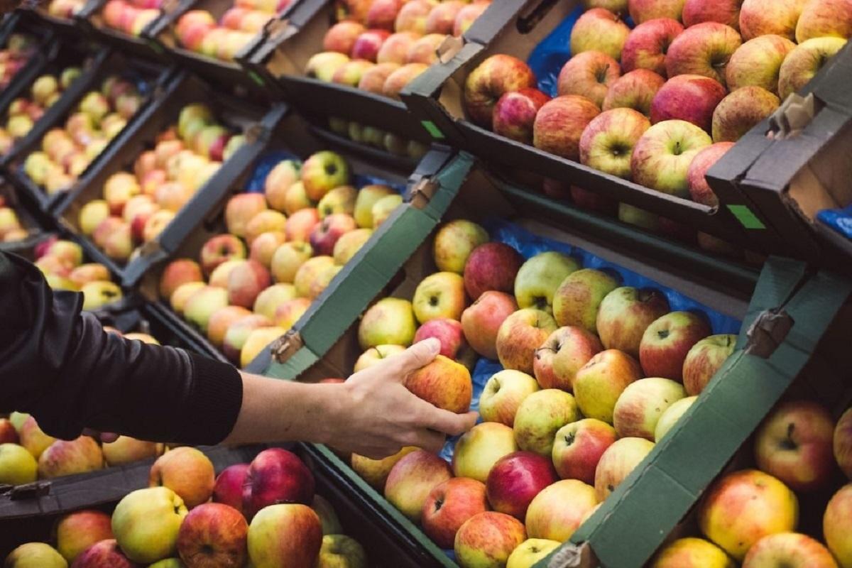 Есть 75 яблок выберите все верные. Яблоки на прилавке. Супермаркет яблоко. Яблоко магазин. Яблоки магазинах в магазинах.